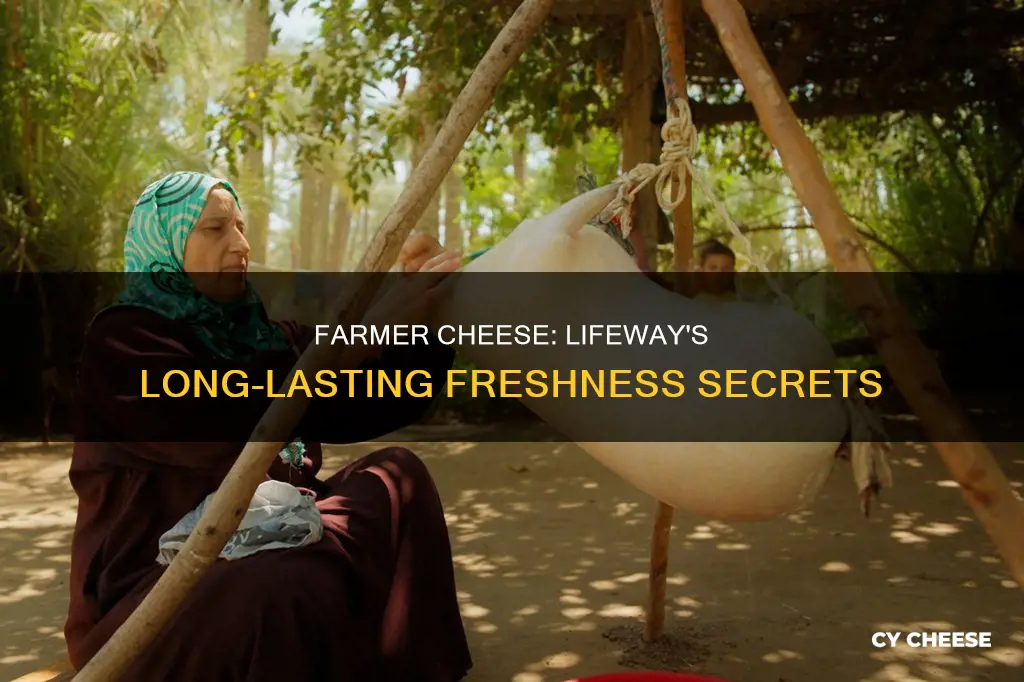 how long will lifeway farmer cheese last