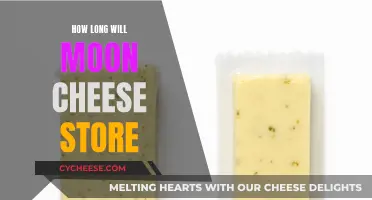 Moon Cheese: How Long Can You Store It?