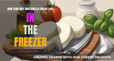 Freezing Mozzarella: How Long Does it Really Last?