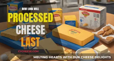 Cheese Storage: How Long Does Processed Cheese Last?