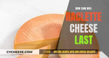 The Ultimate Guide to Storing Raclette Cheese