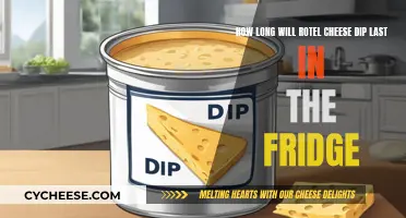 Cheese Dip Fridge Life: How Long Does Rotel Last?