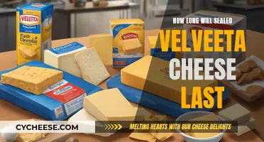 Velveeta Cheese: How Long Does It Stay Fresh?