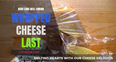 Shrink-Wrapped Cheese: How Long Does It Last?