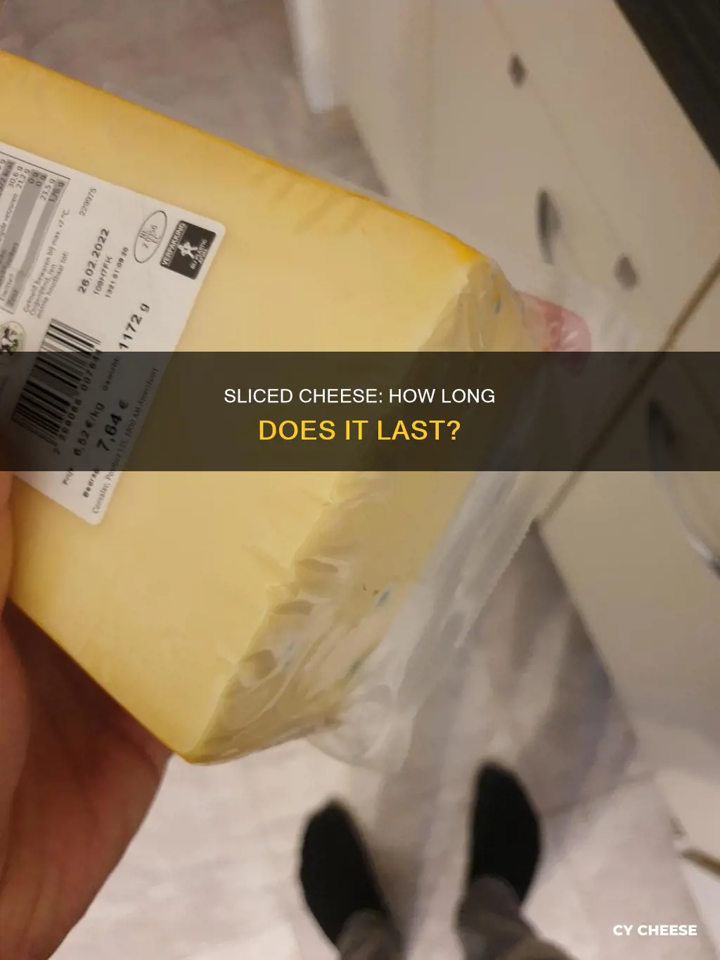 how long will sliced cheese last in frideg