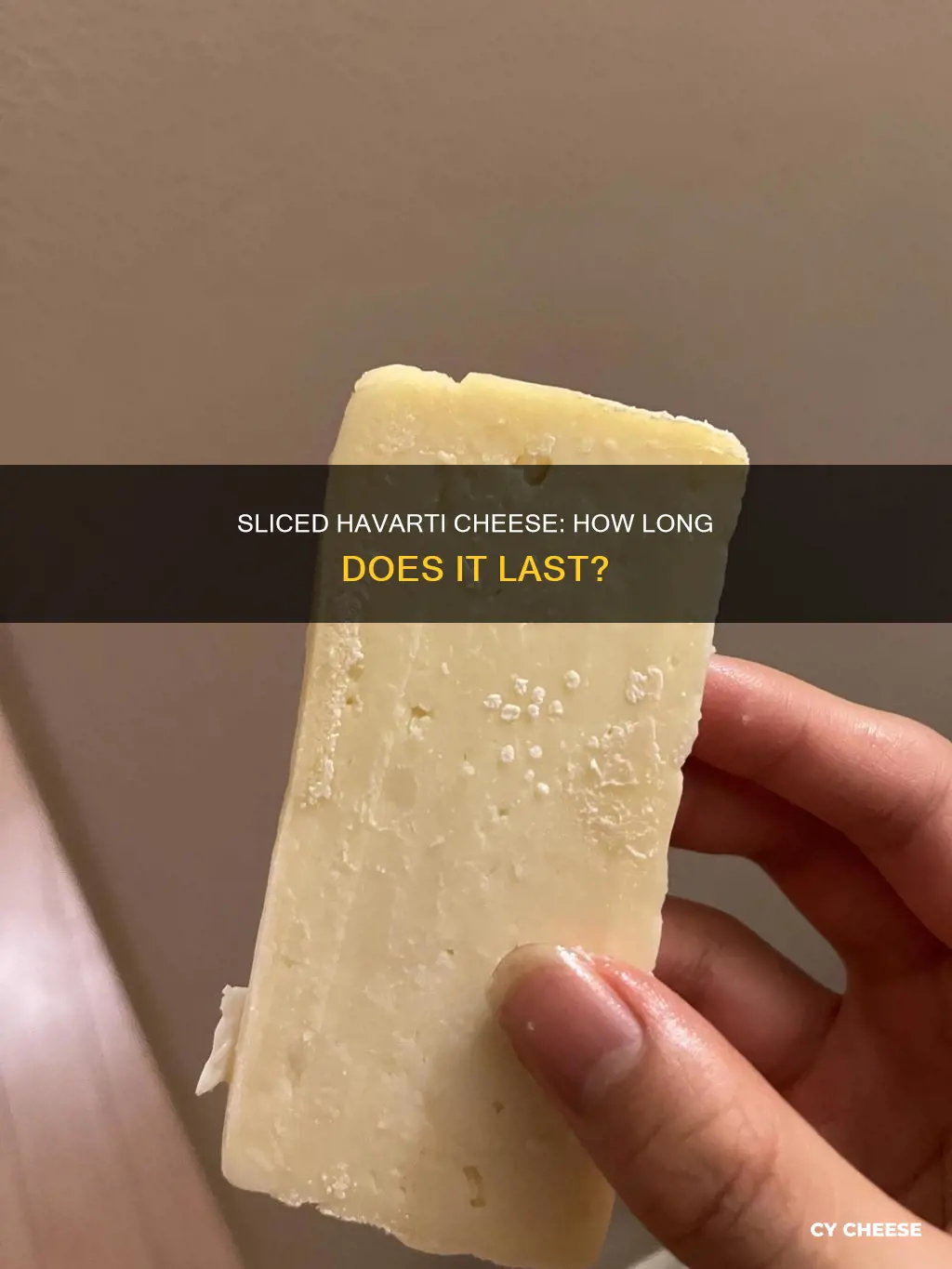 how long will sliced havarti cheese last