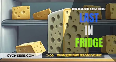 Swiss Cheese: How Long Does it Last in the Fridge?