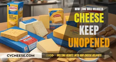 Velveeta Cheese: Unopened Shelf Life and Storage Tips