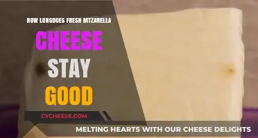 The Ultimate Guide to Fresh Mozzarella Shelf Life