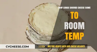 Perfect Cheese Serving: Ideal Room Temperature Timing Explained
