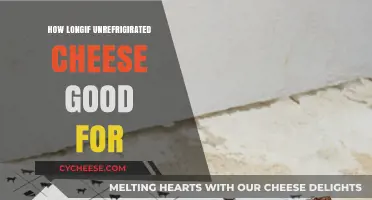 Cheese Storage: How Long Does Unrefrigerated Cheese Last?