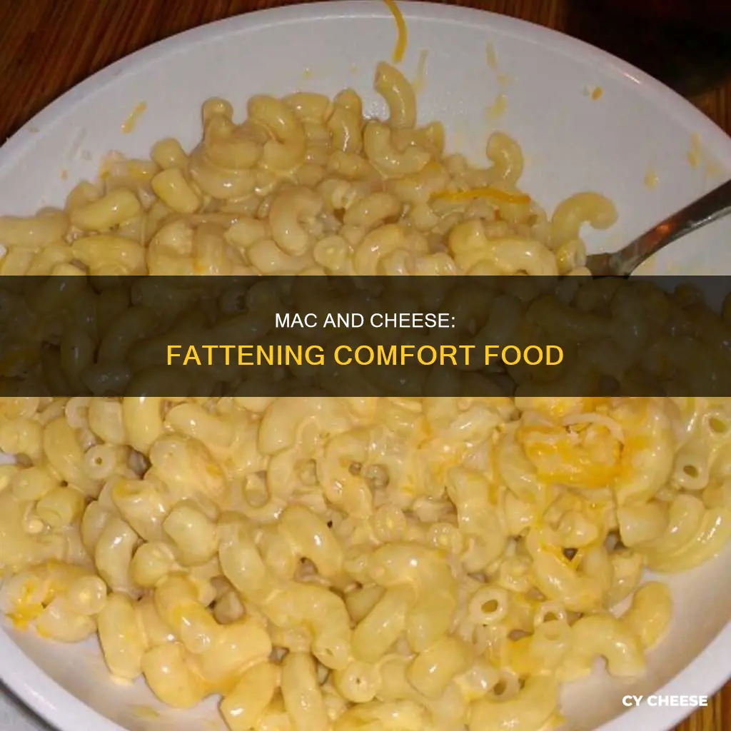 how macaroni and cheese is making you fat