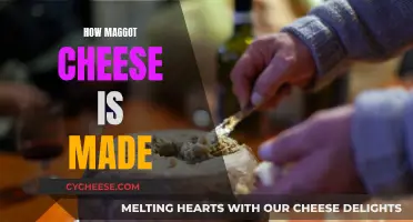 The Making of Maggot Cheese: A Step-by-Step Guide