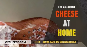 Easy Homemade Cottage Cheese Recipe: Simple Steps for Fresh Results