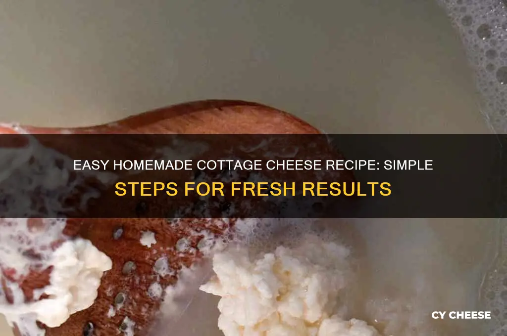 how make cottage cheese at home