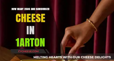 Calculating 250g Cheese and Hamburger Slices in a Standard Carton