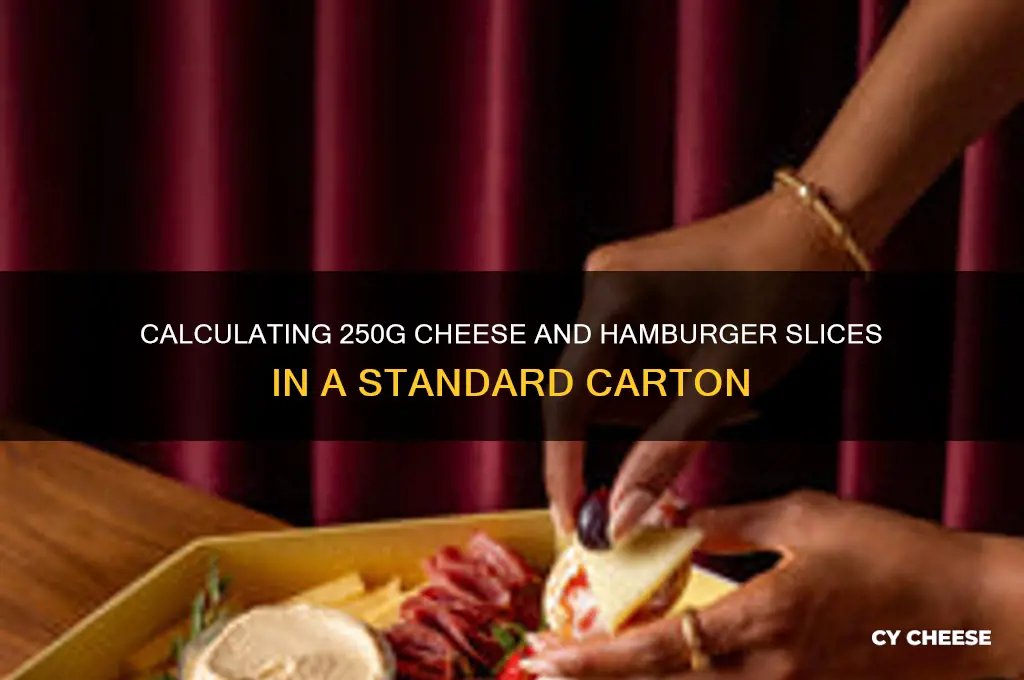 how many 250g and hamburger cheese in 1arton