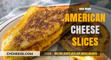 How Many American Cheese Slices Are Perfect for Your Sandwich?