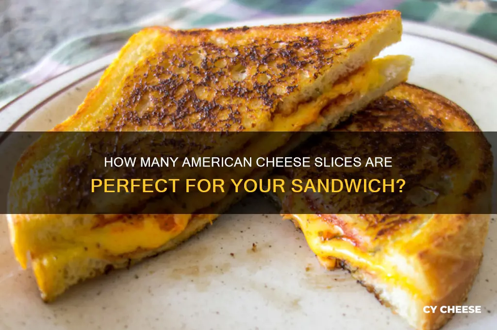 how many american cheese slices