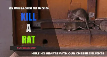 Effective Rat Control: Big Cheese Bait Blocks Dosage Guide