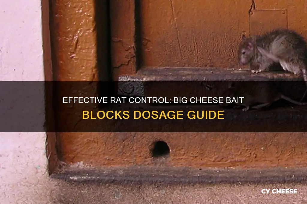 how many big cheese bait blocks to kill a rat