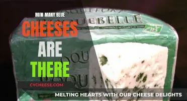 Blue Cheese Varieties: A Comprehensive Overview of Delicious Blues