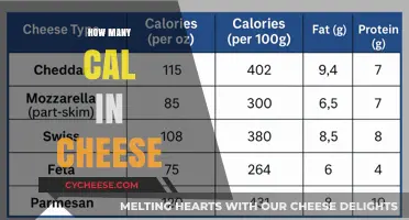 Cheese Calorie Count: Uncovering the Nutritional Facts in Every Bite