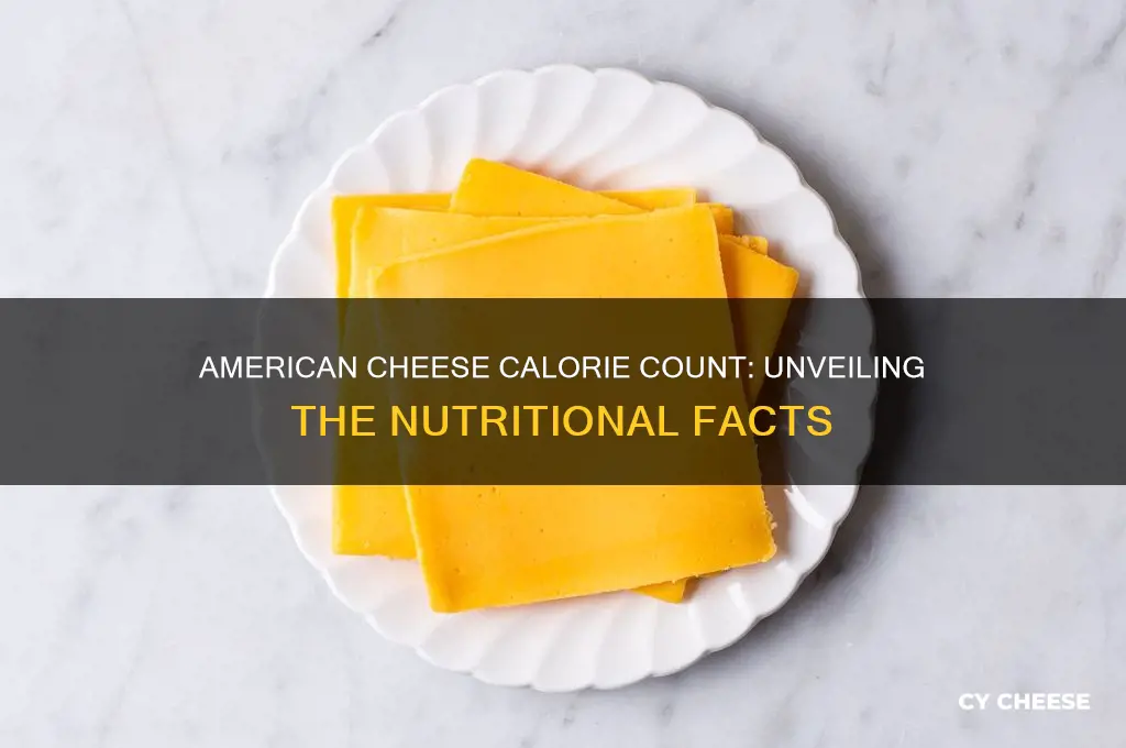 how many caliors are in 1 american cheese