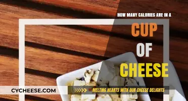 Cheese Lovers: Know Your Calorie Count!