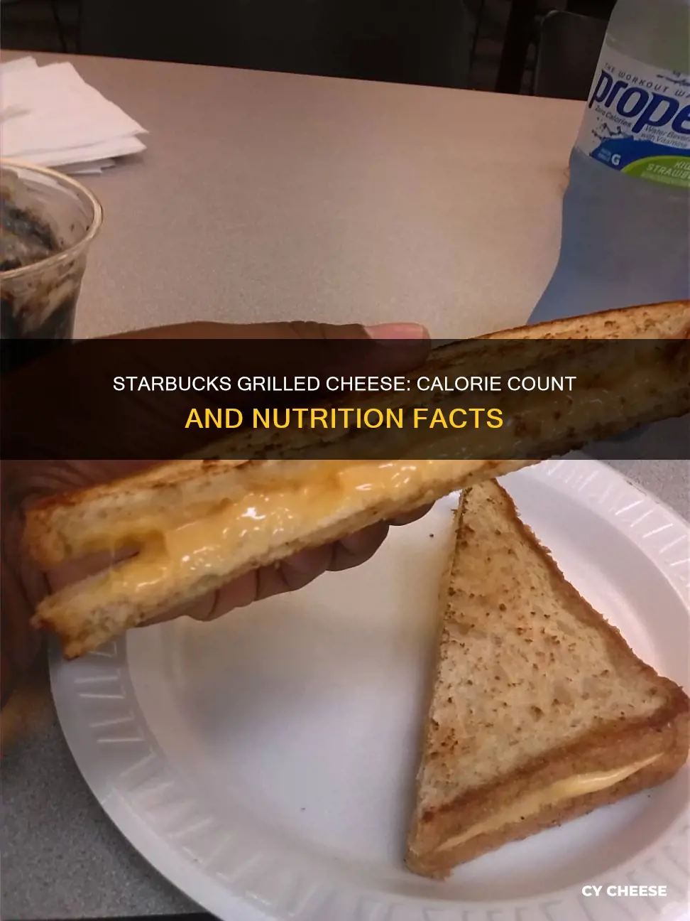 how many calories are in a starbucks grilled cheese