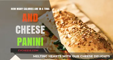 Tasty Tuna and Cheese Panini: Calorie Count