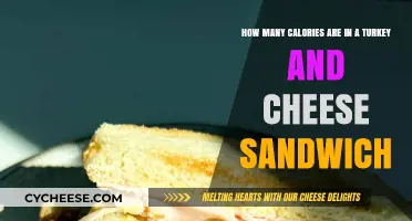 Calories in a Turkey and Cheese Sandwich