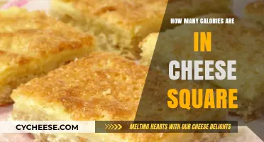 Cheese Squares: Calorie-Dense Snacks