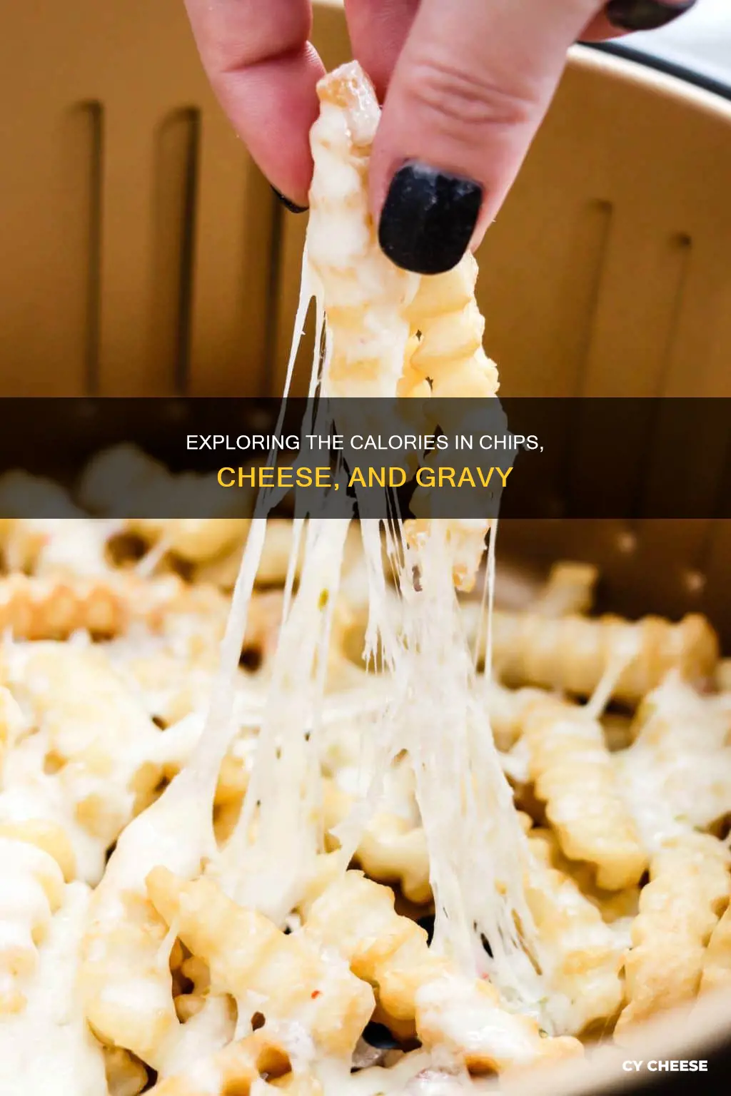 how many calories are in chips cheese and gravy