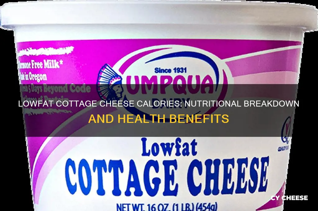 how many calories are in cottage cheese lowfat
