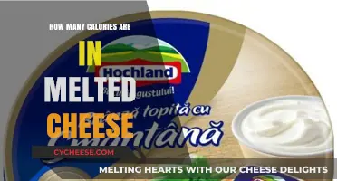 Cheese Connoisseurs: Know Your Melted Cheese Calories