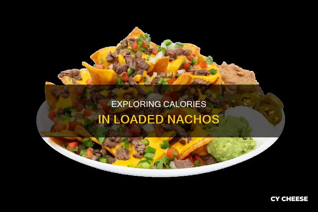 how many calories are in nachos with cheese and meat