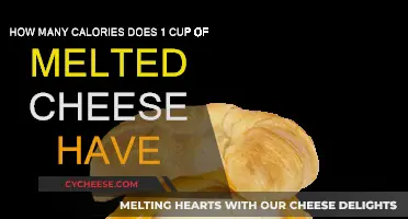 Cheese Lovers: Know Your Calories Intake