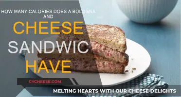 Calories in a Bologna and Cheese Sandwich