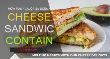 Cheese Sandwich Calories: How Much Does it Pack?