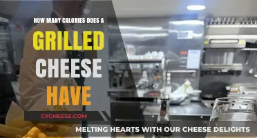 Cheese Sandwich Calories: Grilled and Healthy?