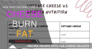 Cheese and Calories: Burning or Building Fat?