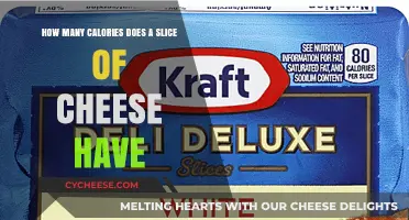 Cheese Slice Calories: How Much Energy?