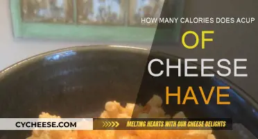 Cheese Lovers: Know Your Calories