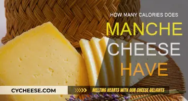 Cheese Lovers: Calories in Manchego Cheese
