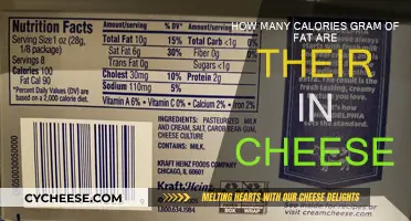 Cheese and Calories: How Much is Too Much?