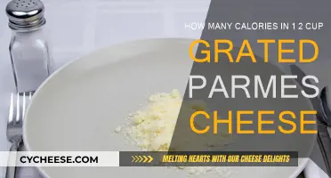Parmesan Pleasures: Calories in Grated Cheese