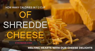 Cheese Lovers: Know Your Calories Intake