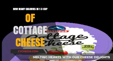 Calories in 1/3 Cup Cottage Cheese: A Nutritional Breakdown