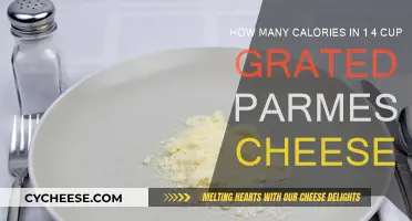 Parmesan Pleasures: Calories in Grated Cheese
